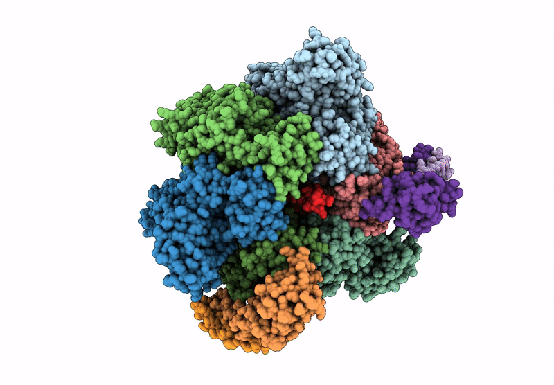8GXY image