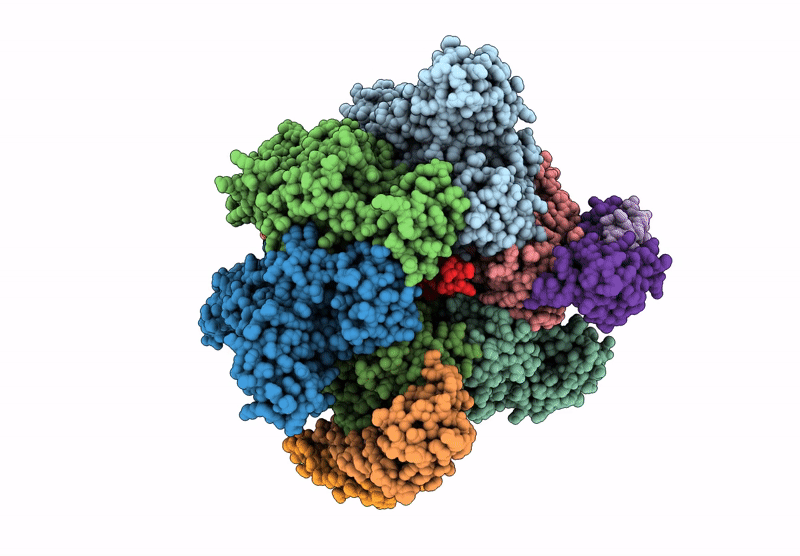 8GXZ image