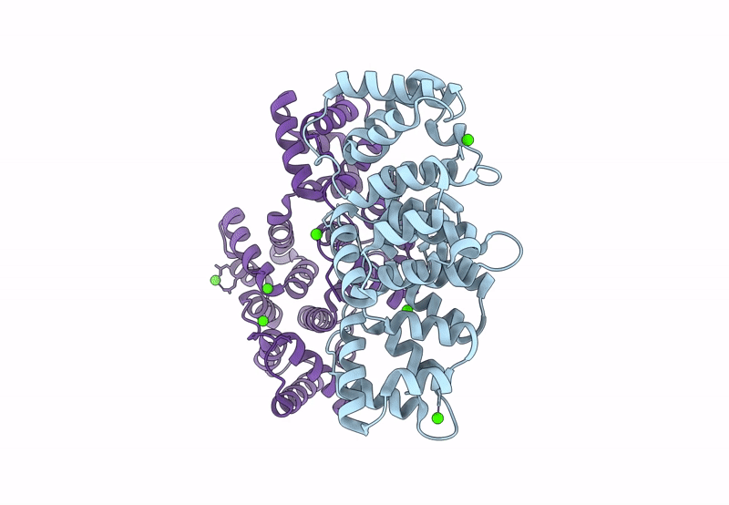 8GYC image
