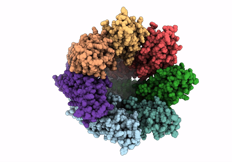 8GYP image