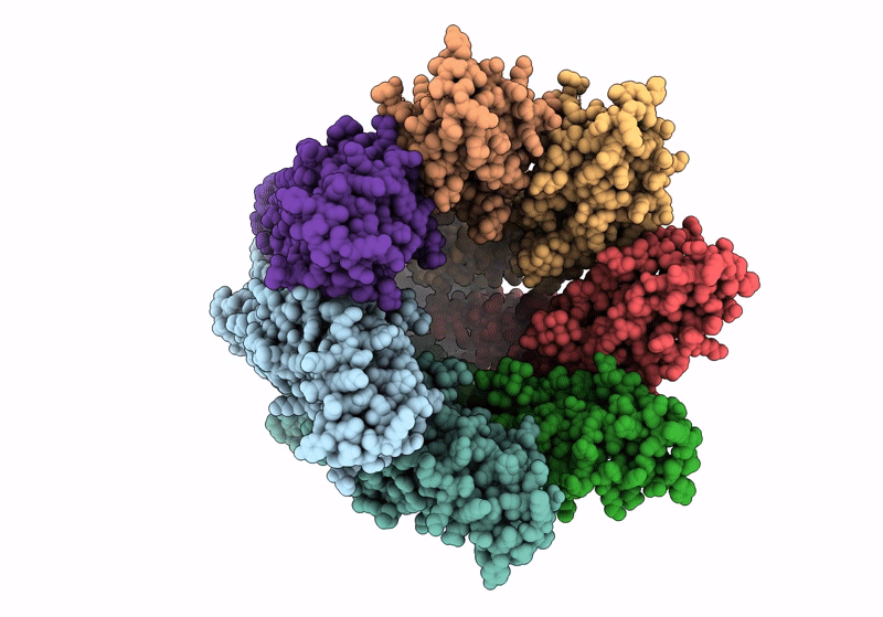 8GYT image