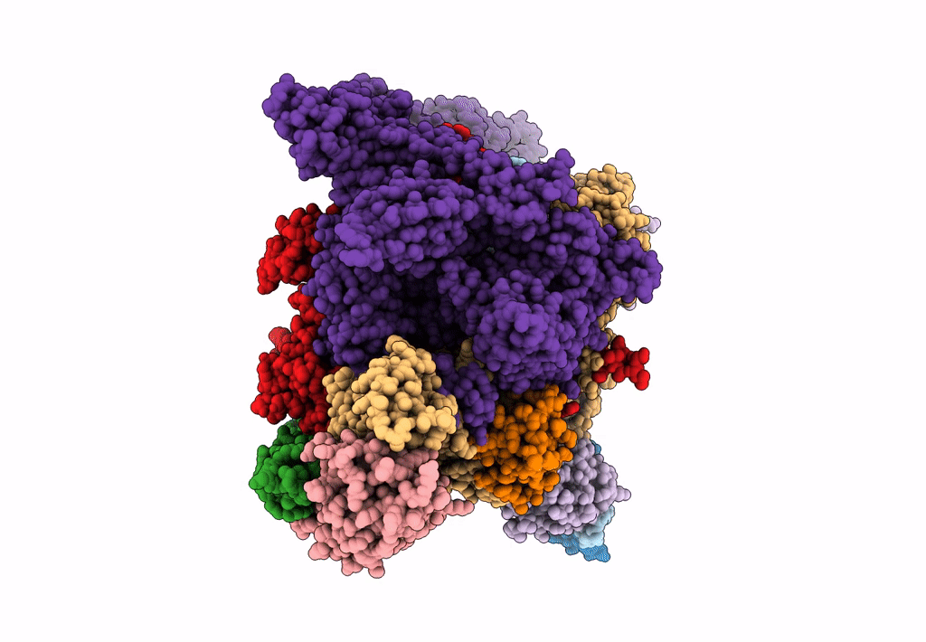8GZH image