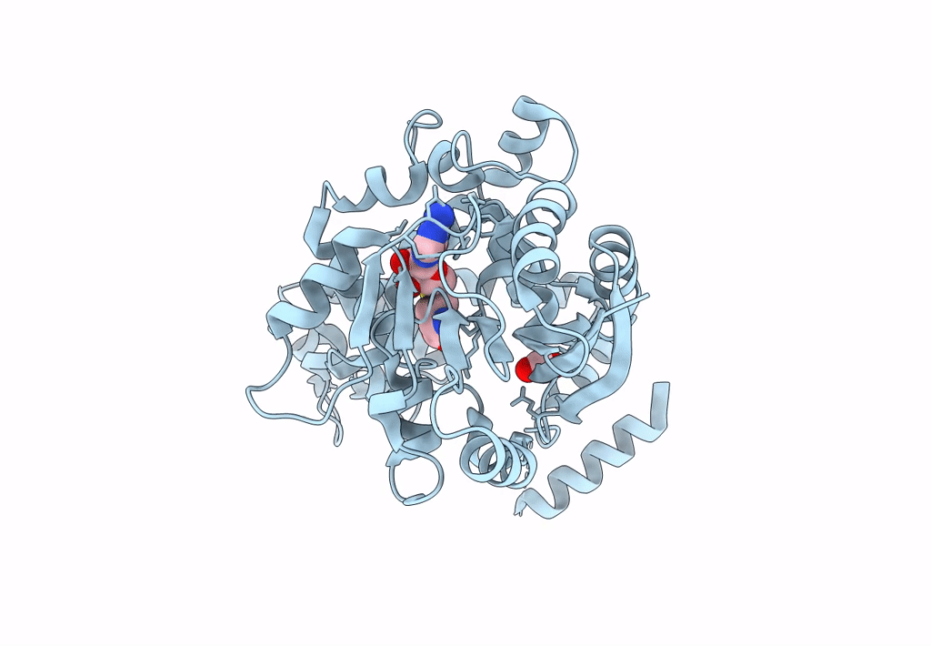 8GZI image
