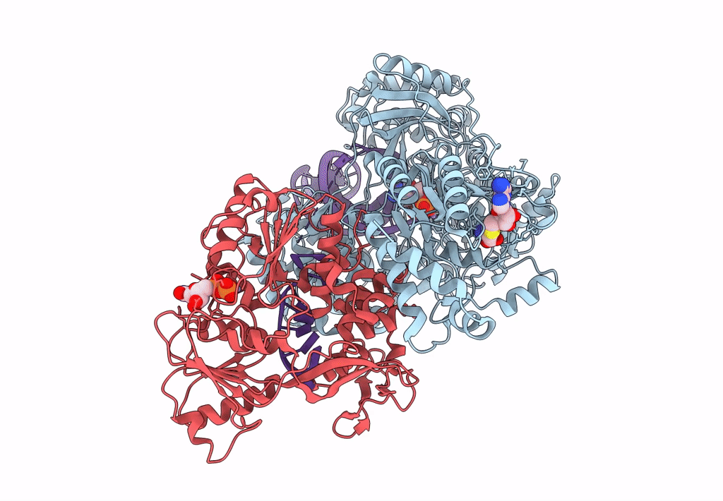 8GZR image