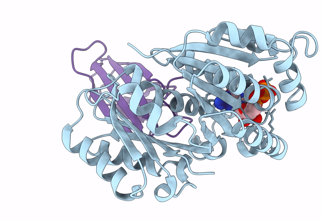 8GZV image