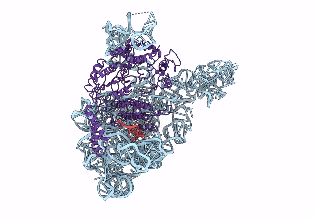 8H2H image