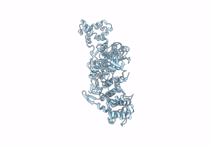 8H2M image