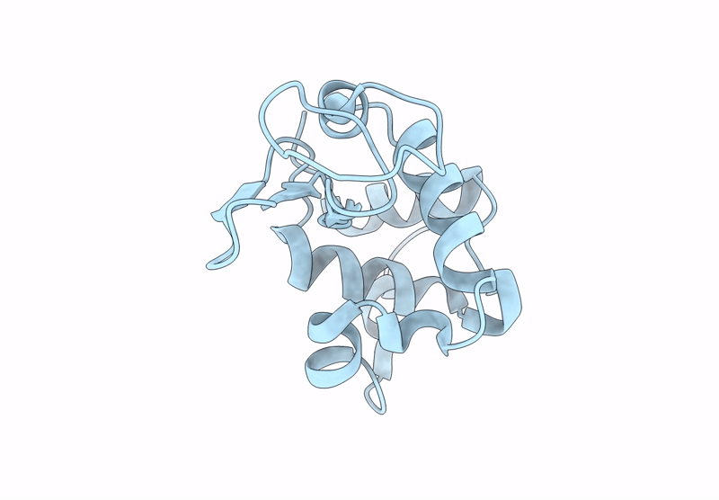 8H3W image