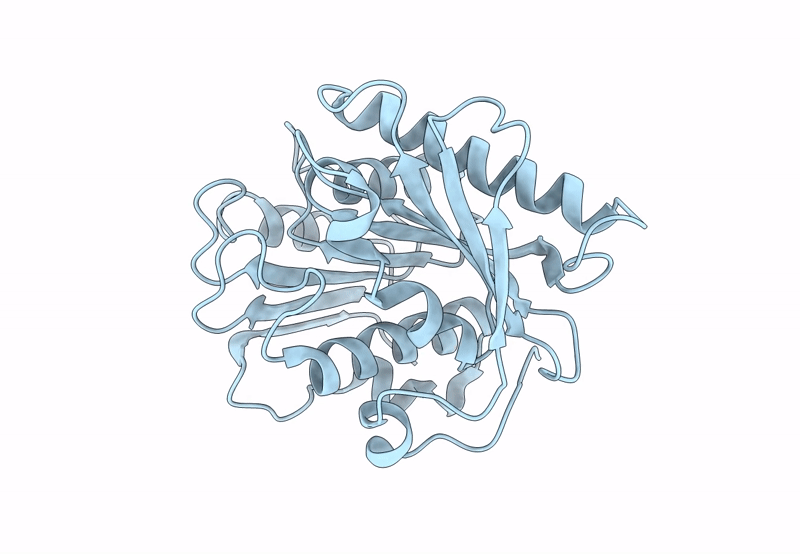 8H5K image
