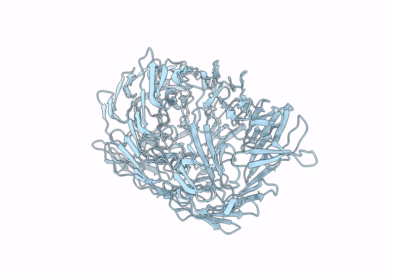 8H8B image