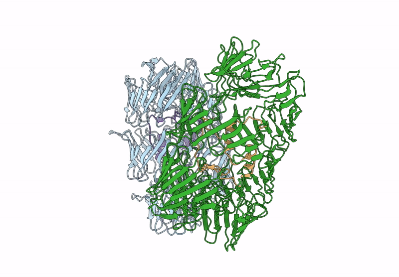 8H8C image