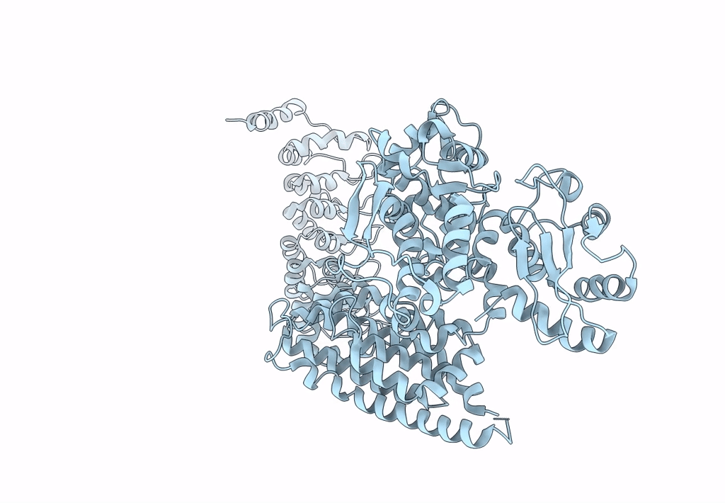 8H8X image