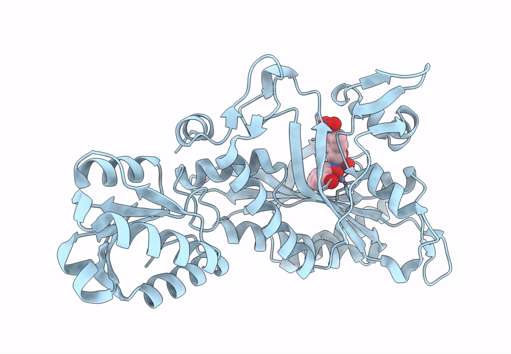 8H9B image