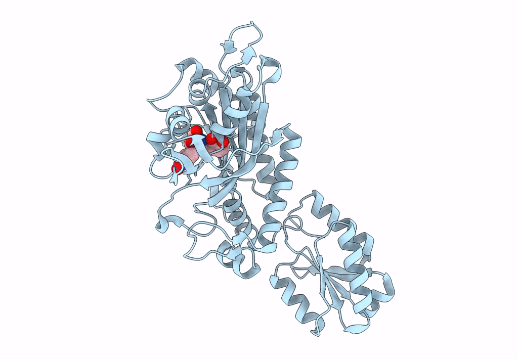 8H9C image