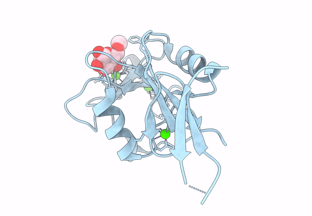 8HB5 image