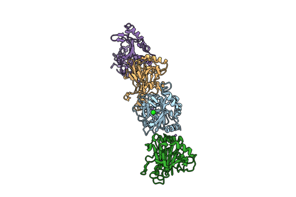 8HBB image