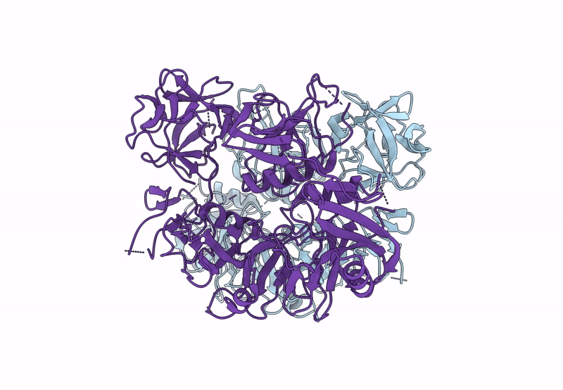 8HBC image