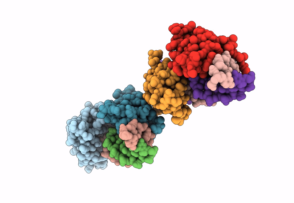 8HBM image