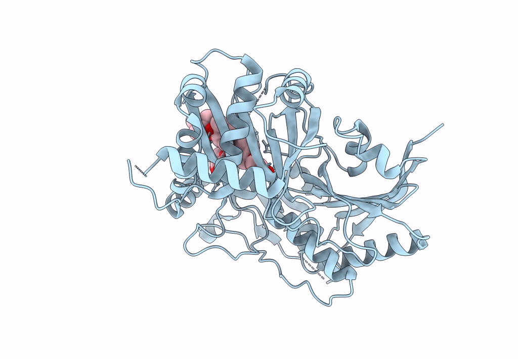 8HBT image