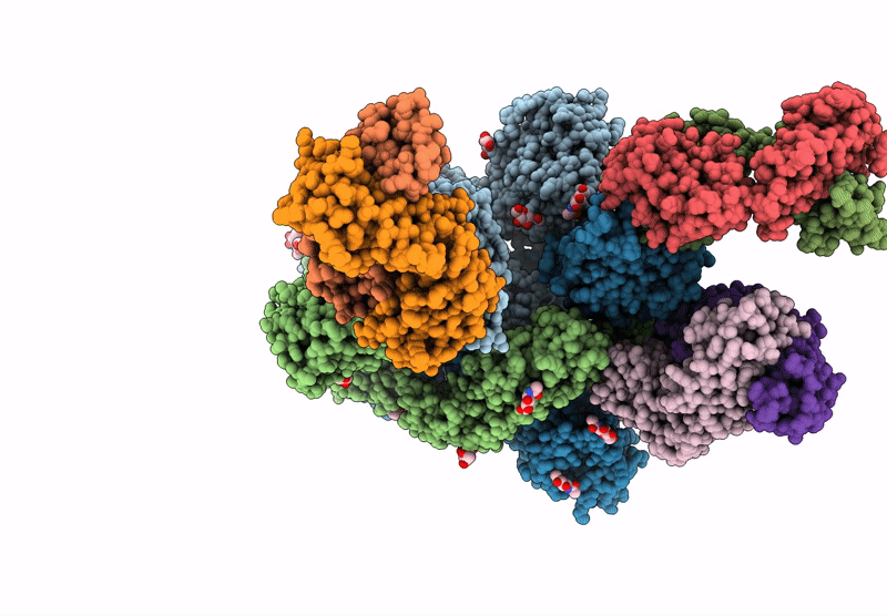 8HCB image