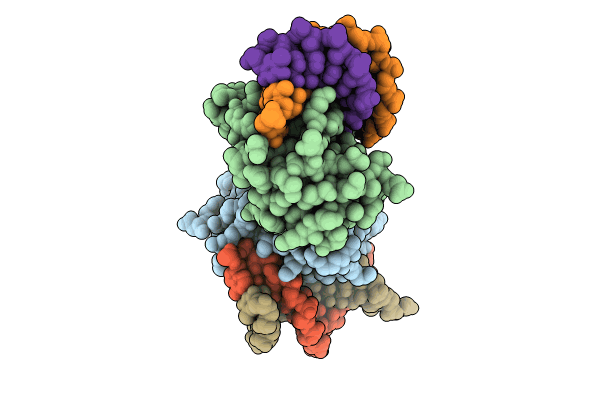8HCL image