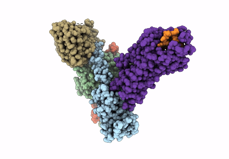 8HCQ image