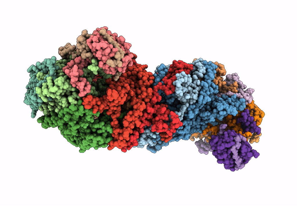 8HCR image