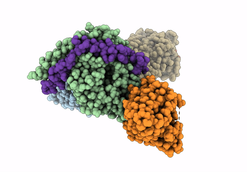 8HCX image