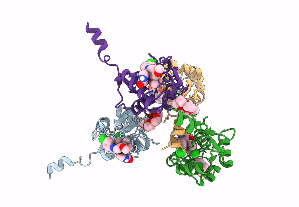 8HDG image