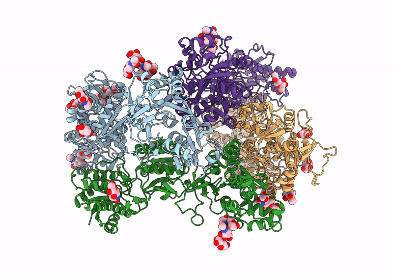 8HDK image