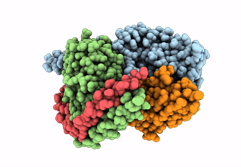 8HDO image