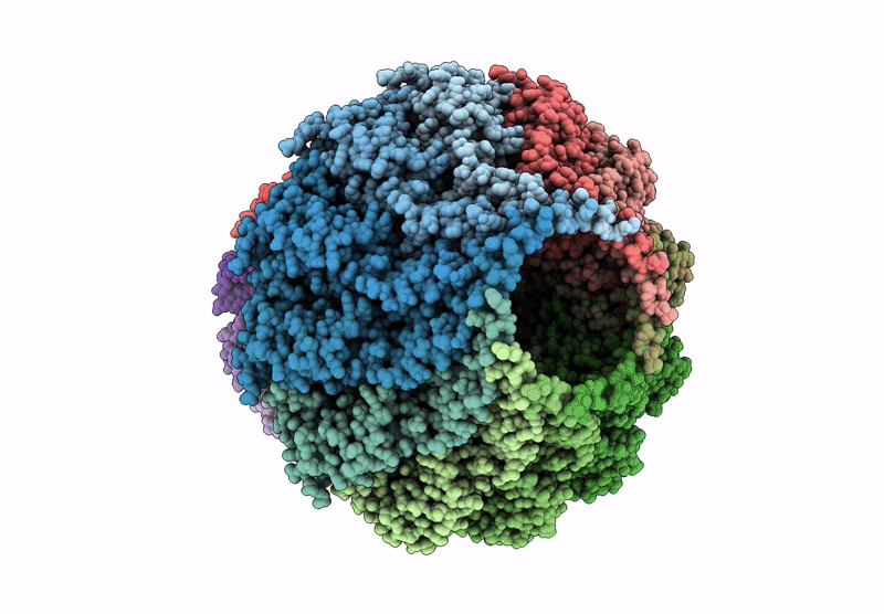 8HDS image