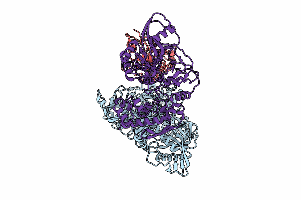 8HDZ image