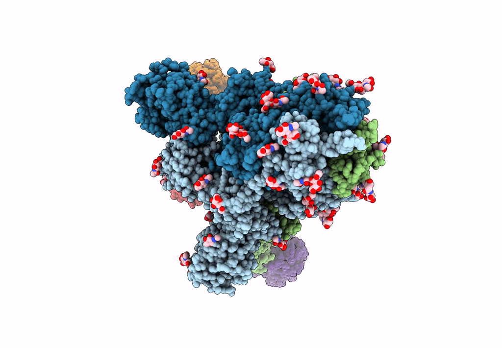 8HEC image