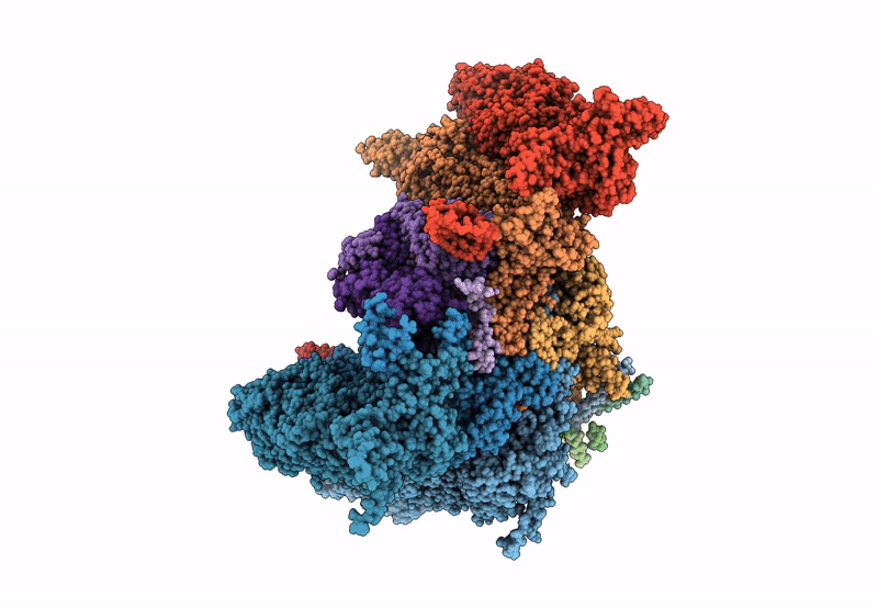 8HEX image