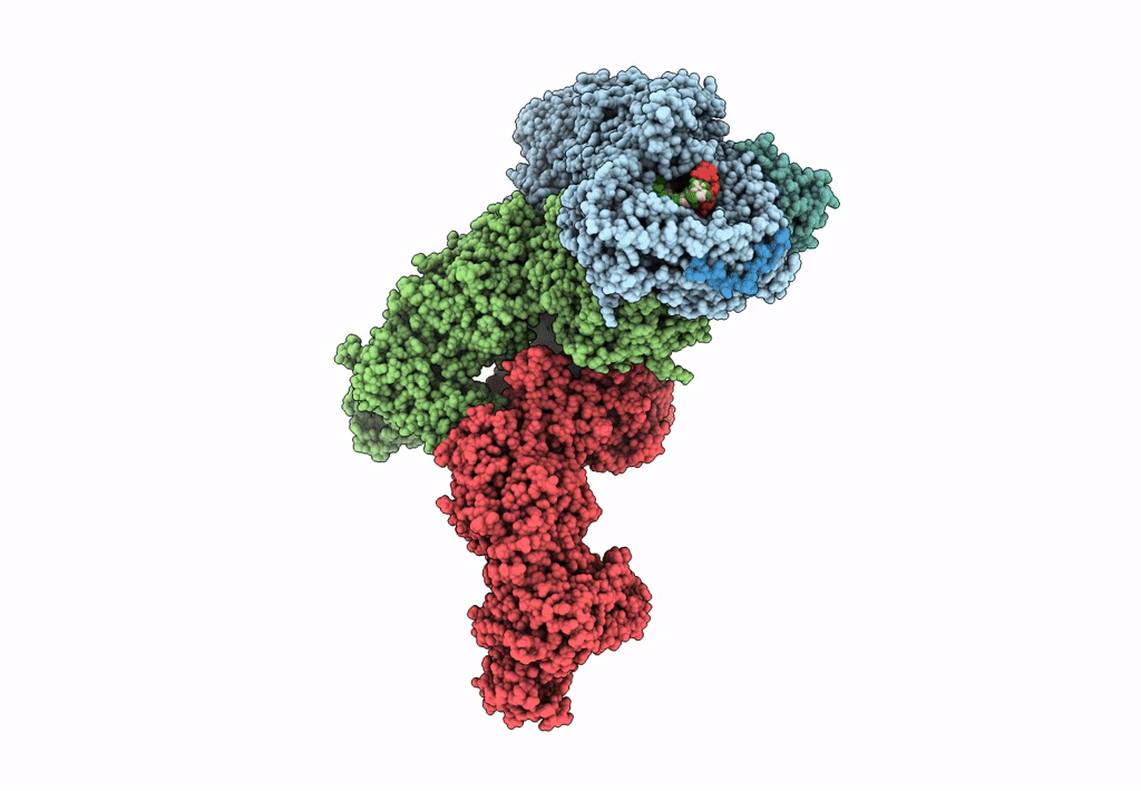 8HF1 image