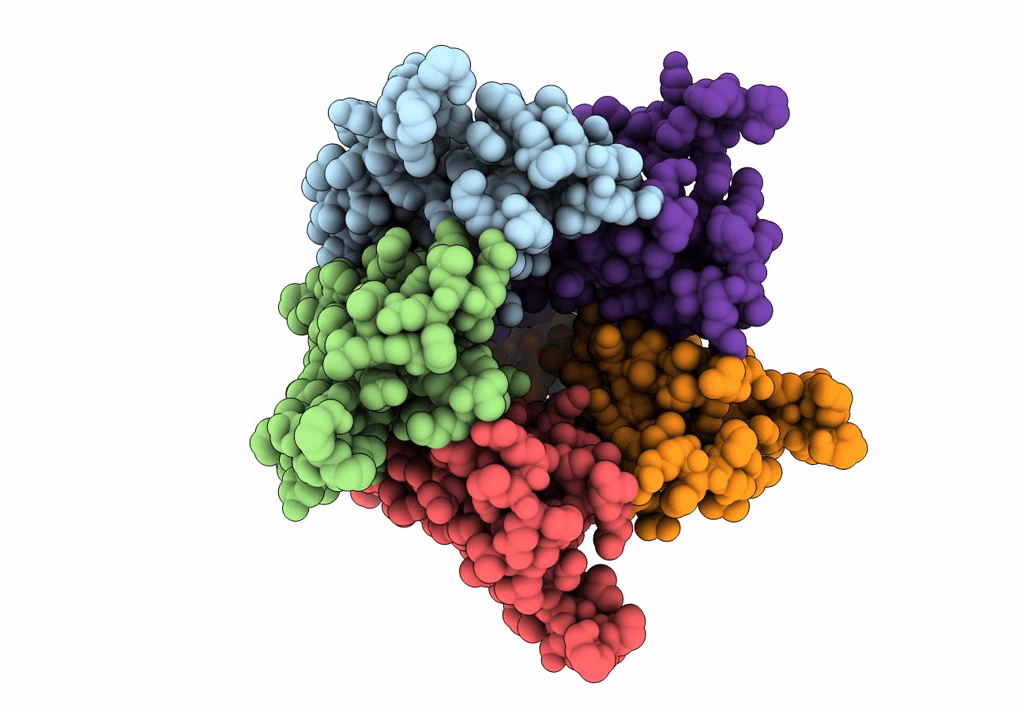 8HF2 image