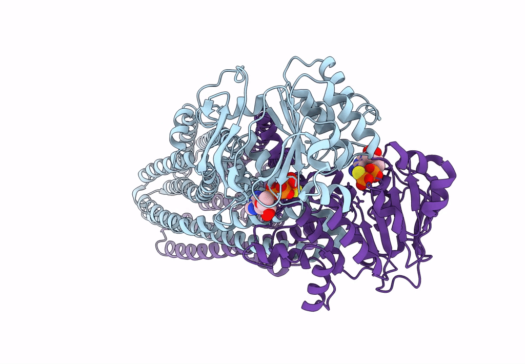 8HF4 image