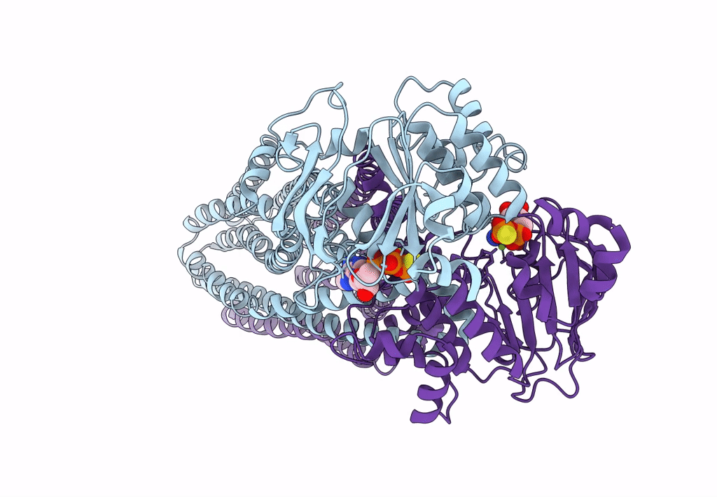 8HF5 image
