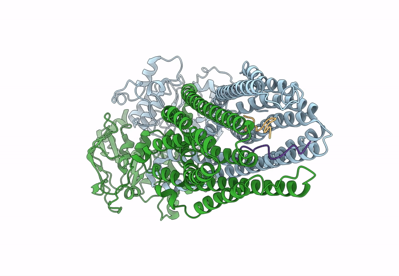 8HF7 image