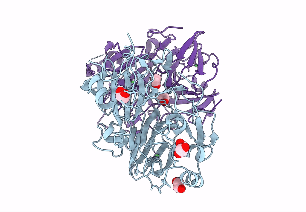 8HFB image