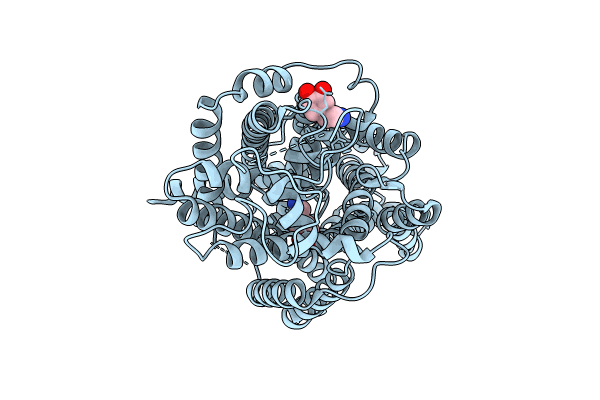 8HFG image