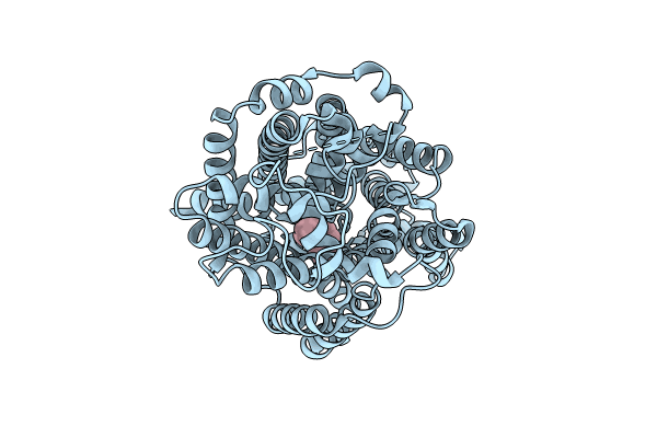 8HFI image