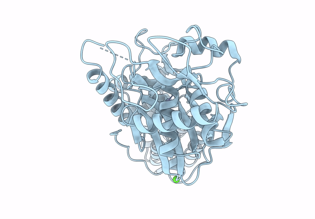 8HFM image