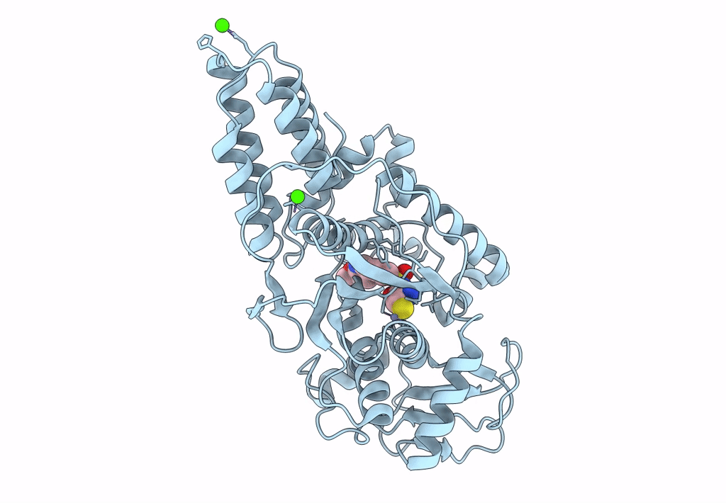 8HFN image
