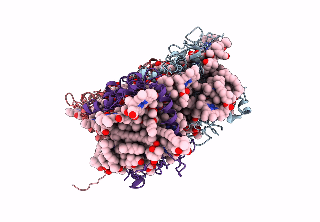 8HG5 image