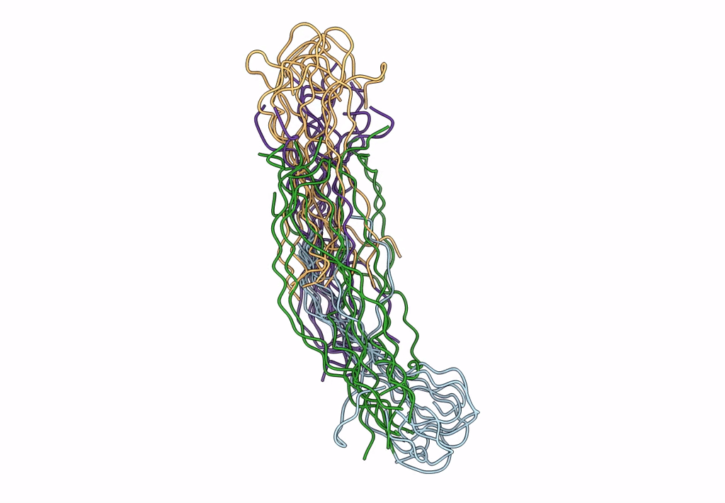 8HGA image