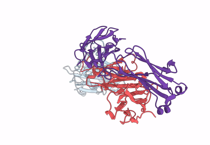 8HGM image