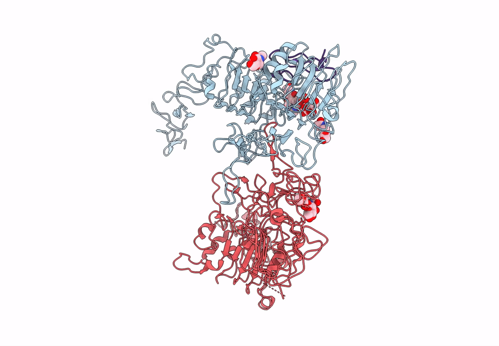 8HGP image