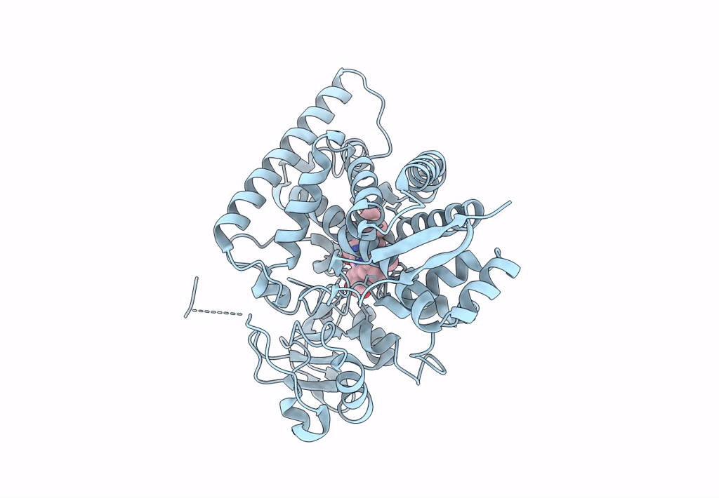 8HGT image